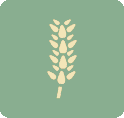 lupine icon